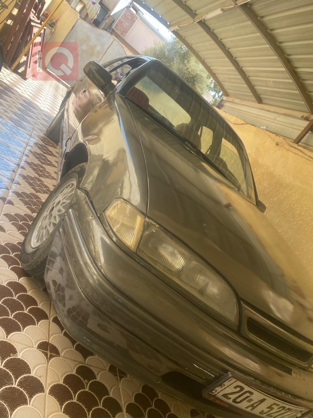 دایۆ پرینس